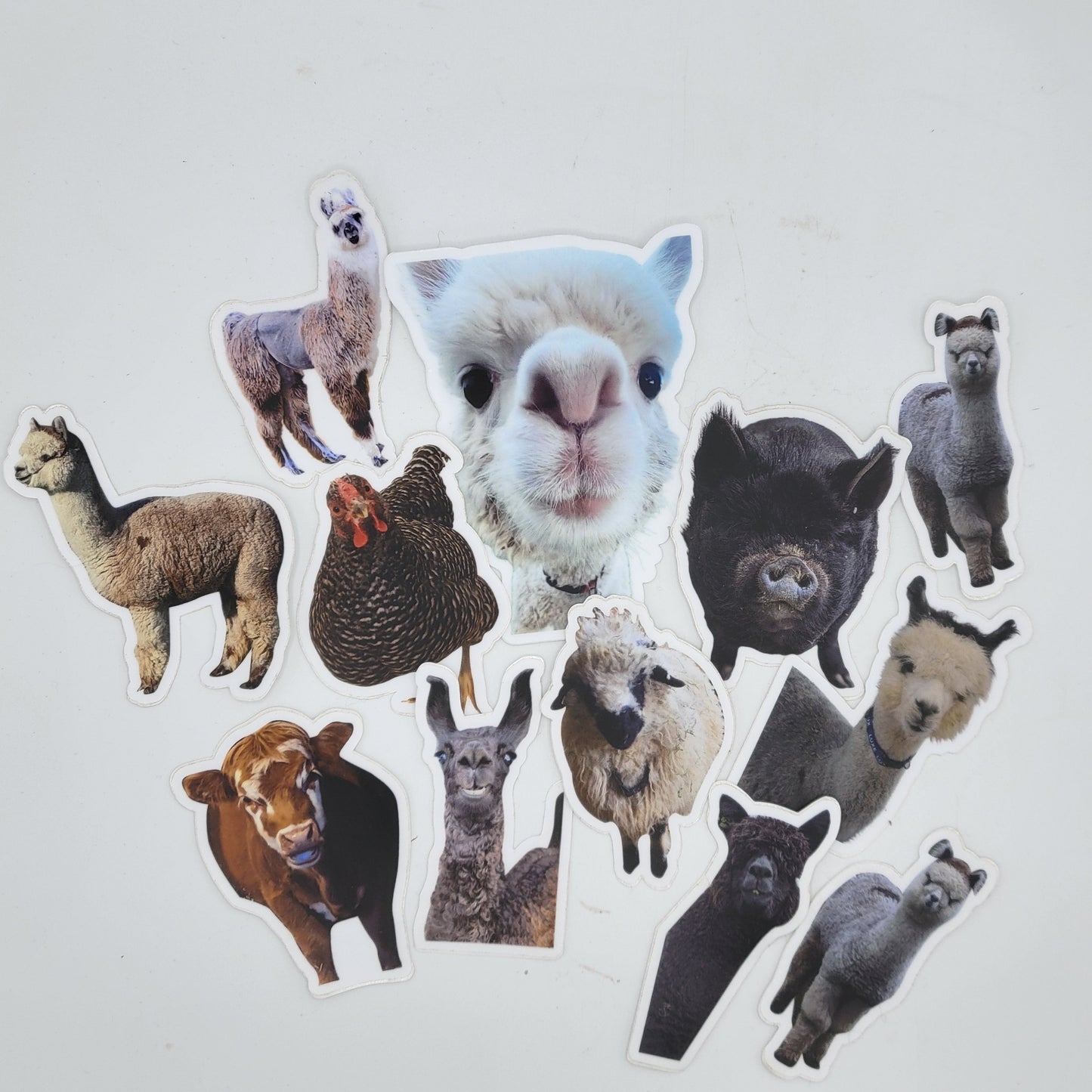 Vinyl Animal Stickers