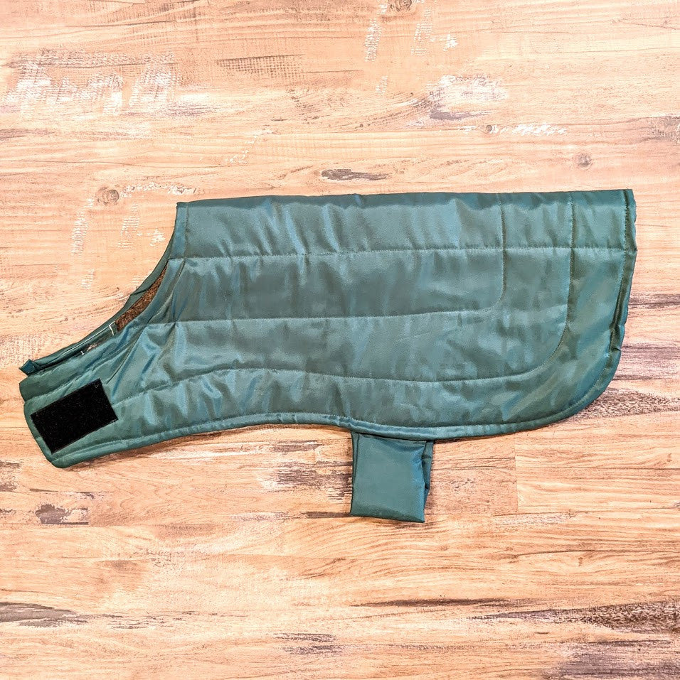 Dog coat - lined with alpaca  green