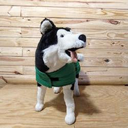 Dog coat - lined with alpaca green