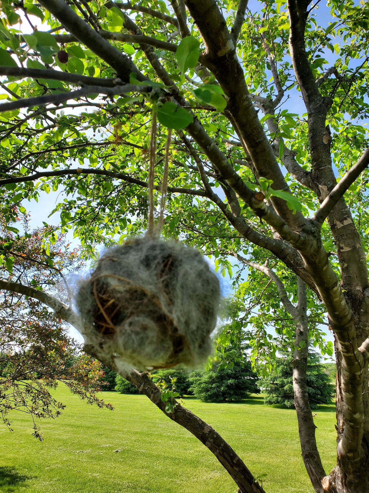 Alpaca Fiber Filled Bird Nesting Globe